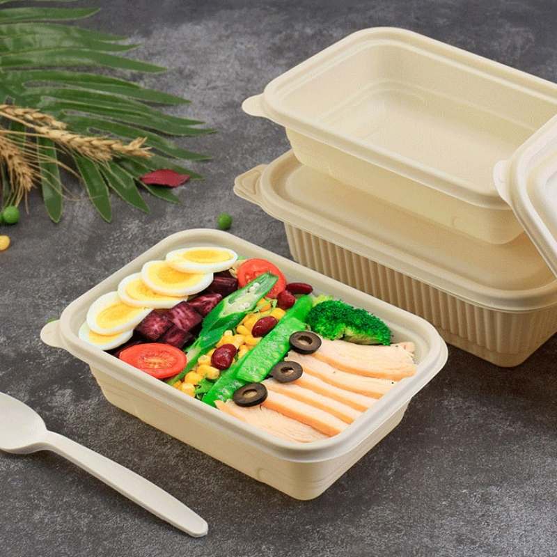 Kompostierbarer Einweg-Fast-Food-Behälter für Lebensmittelboxen in Sondergröße für biologisch abbaubare Lebensmittel aus Maisstärke von Bento Shop zum Mitnehmen