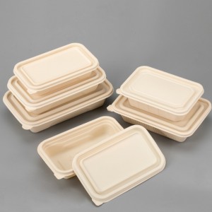 Umweltfreundliche BPA-freie Einweg-Bento-Lunchbox zum Mitnehmen Verpackungsbox biologisch abbaubarer Lebensmittelbehälter