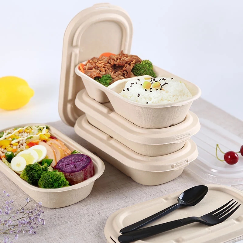 Verpackung von Fast-Food-Verpackungen Bagasse Lebensmittelverpackungen Container mit klarer Abdeckung Kompostierbare Zuckerrohr-Container